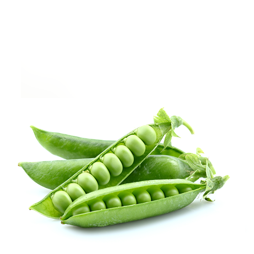 Motorshuti (Imported Green Peas)~ 500 Gm