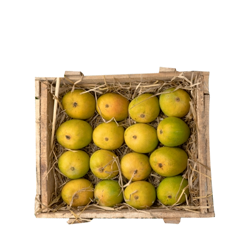 Premium Himshagor Mango From Chapainawabganj~ (81 Tk Per Kg /10 kg pack)