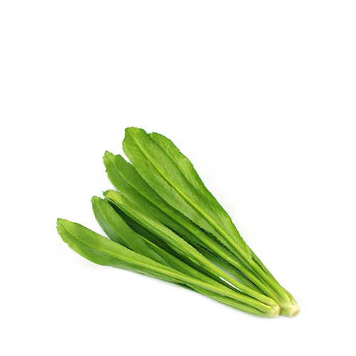 Bilati Dhonia Pata (Long Coriander Leaves)~ 100 Gm