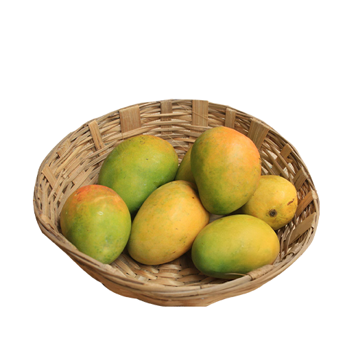 Premium Langra Mango From Chapainawabganj~ (82 Tk Per Kg /20 kg pack)