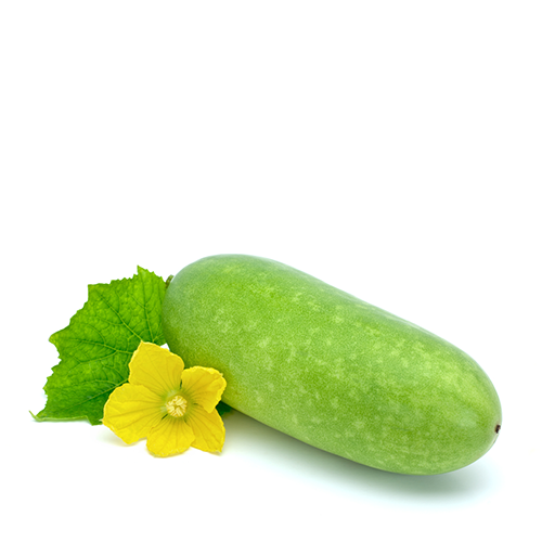 Boro Jali Kumra (Big Wax Gourd) ~ 1 Pcs