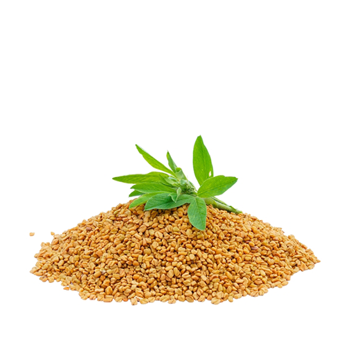 Fenugreek Seeds (Methi)~100 Gm