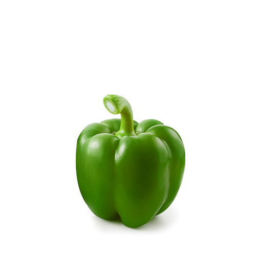 Green Big Size Capsicum~1 Pcs