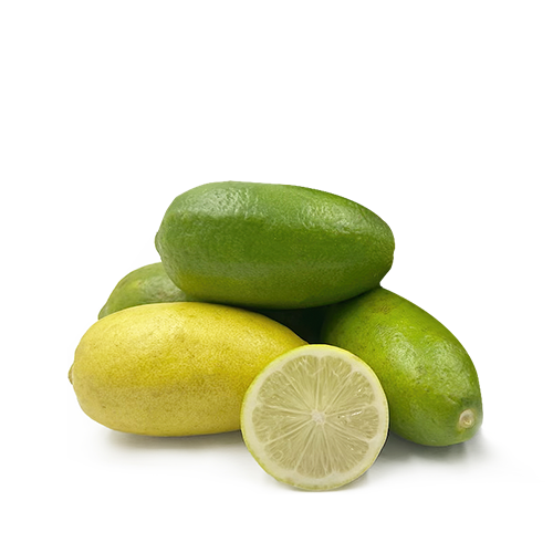 Lomba Lebu (Long Lemon Big Size)~ 4 Pcs