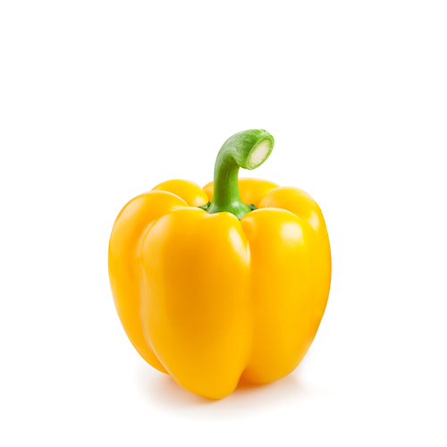 Yellow Capsicum (Big Size)~ 1 Pcs