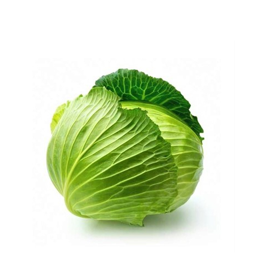 Badhakopi (Cabbage)~ 1 Pcs