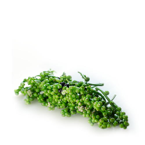 Pui Shak Bichi (Pui Spinach Seeds)~ 500 Gm