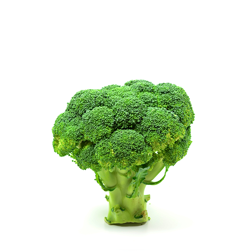 Broccoli~ 1 Pcs